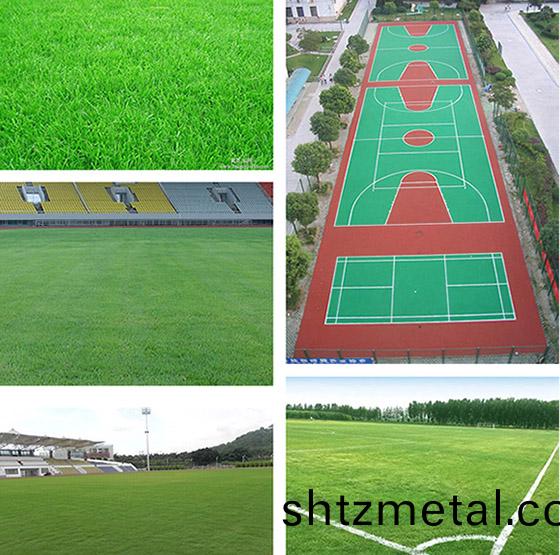 足毬場草坪施工