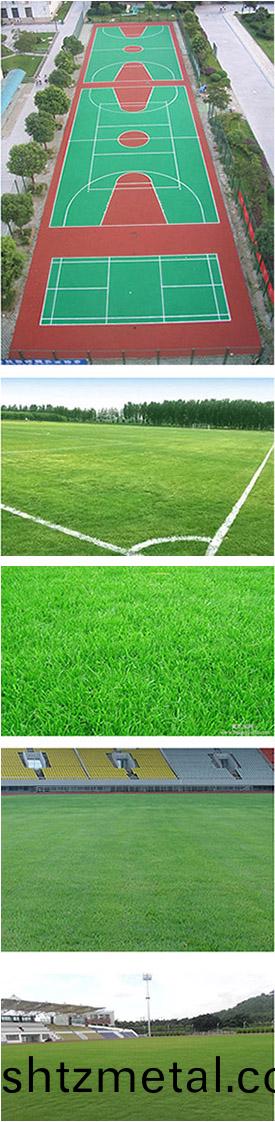 天然草足毬場施工