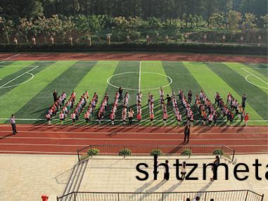 學(xue)校塑膠跑道建設公司寶力