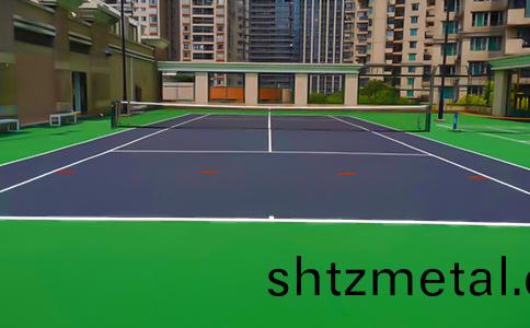 室(shi)外網毬場圖片