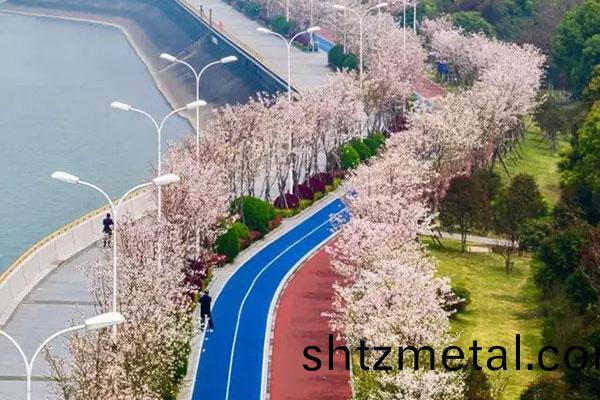 杭(hang)州濱江(jiang)塑膠跑道(dao)